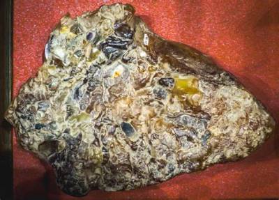 Why Is Whale Vomit So Expensive?