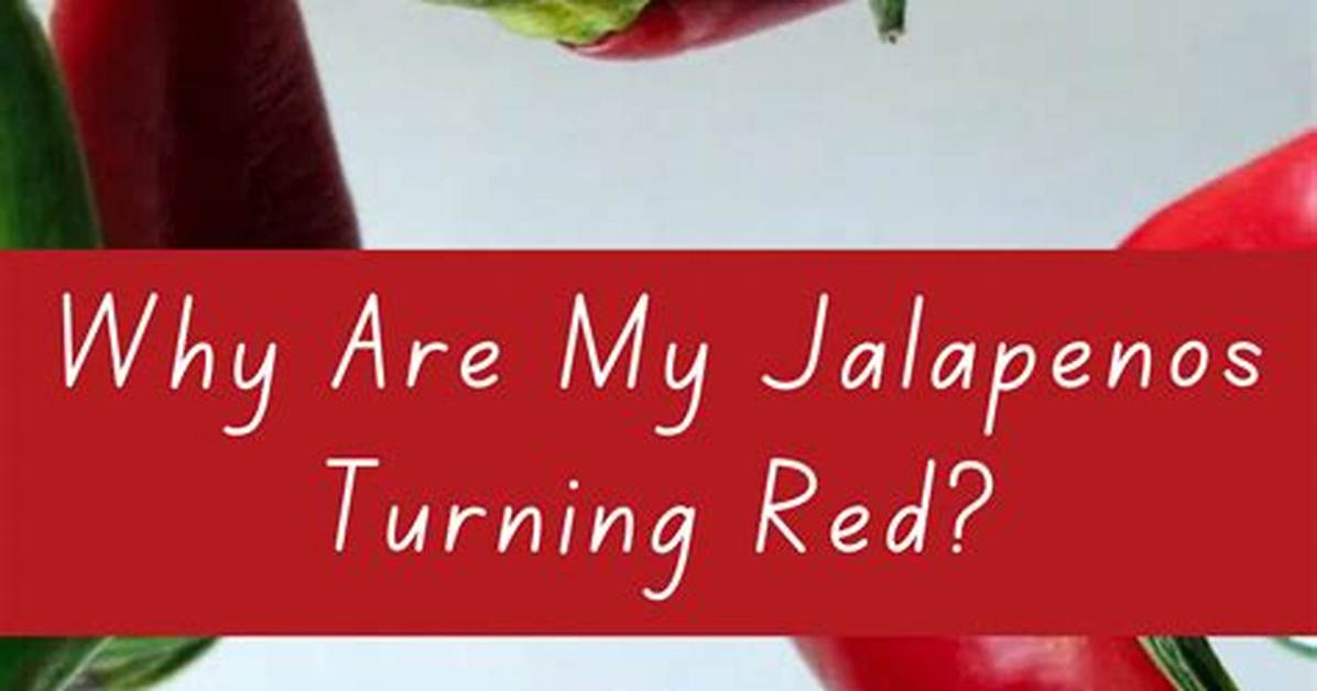Why Jalapenos Turn