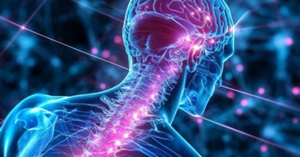 Why Neurology Is Important?