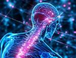 Why Neurology Is Important?