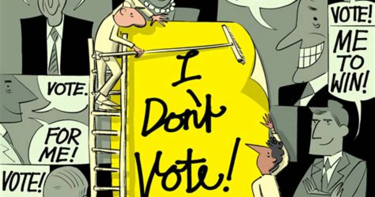 Why Not Voting Is Good