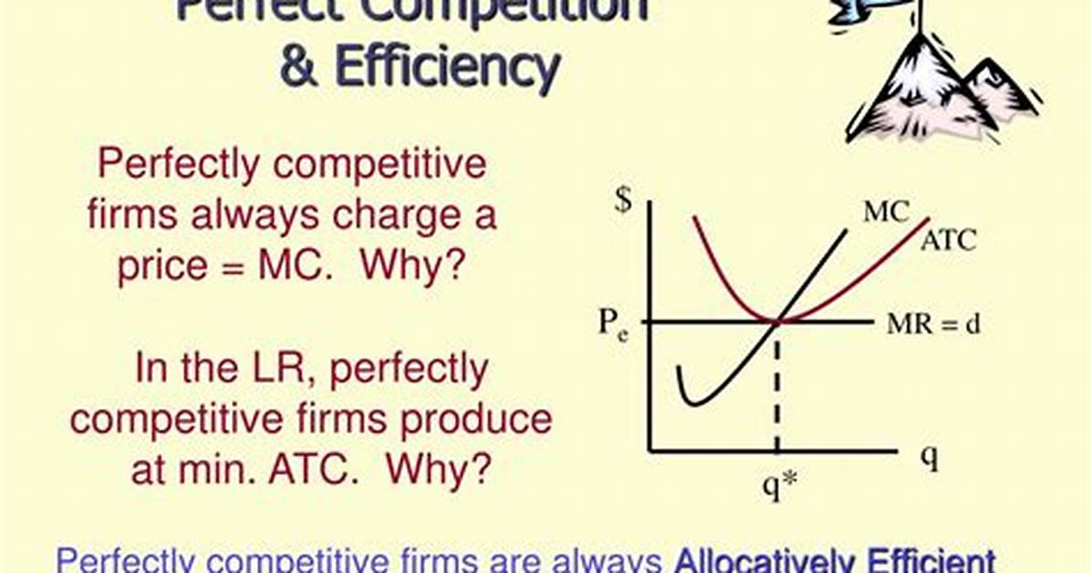 Why Perfect Competition Is Efficient?
