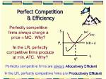 Why Perfect Competition Is Efficient?