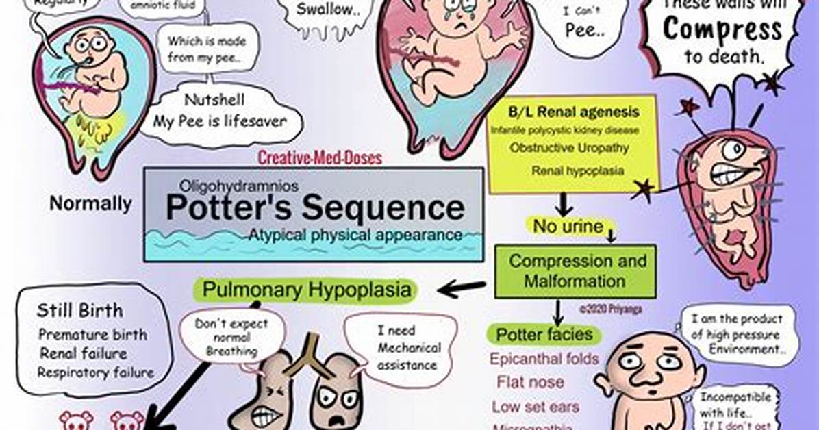 Why Pulmonary Hypoplasia in Oligohydramnios?