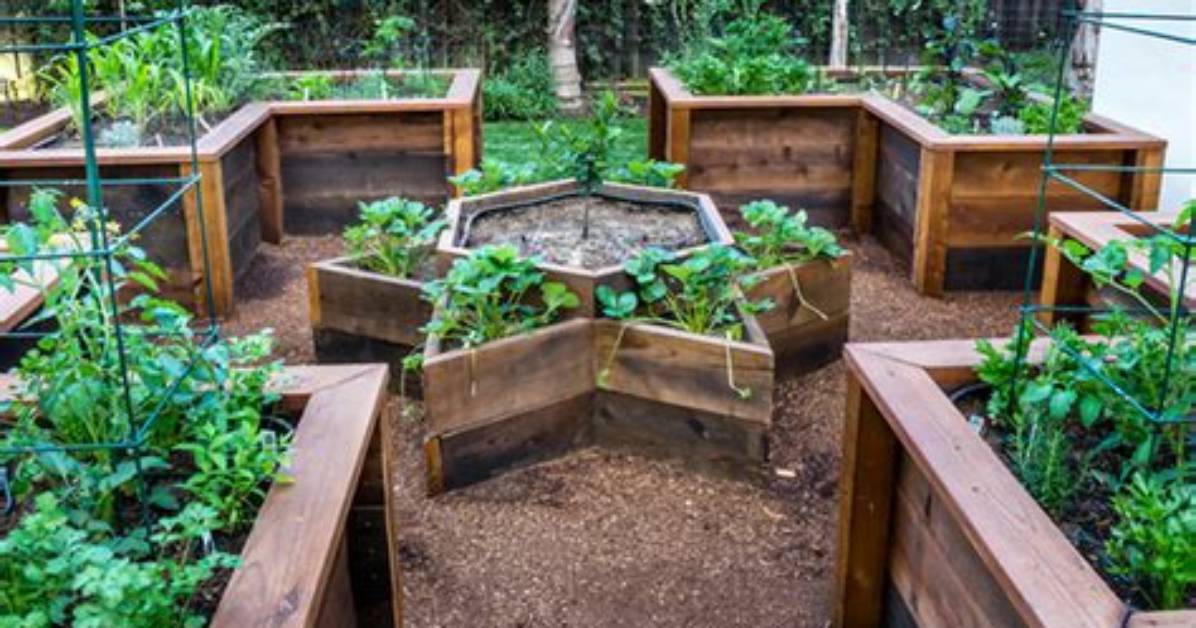Why Raised Garden Beds?