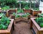 Why Raised Garden Beds?