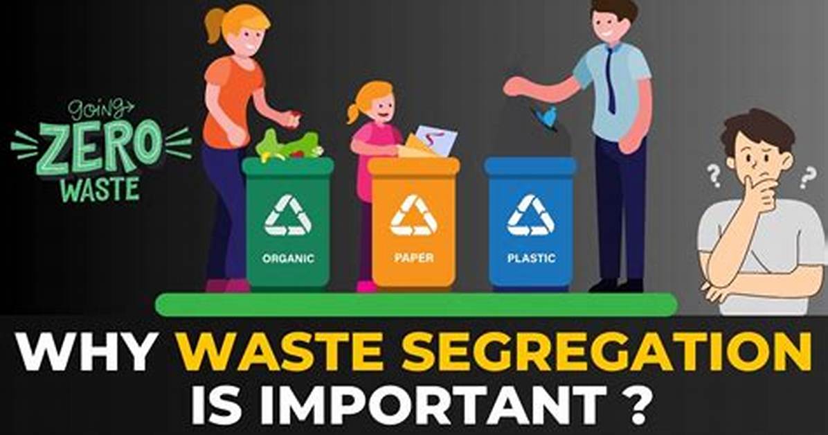 Why Segregation Is Important in Waste Management?