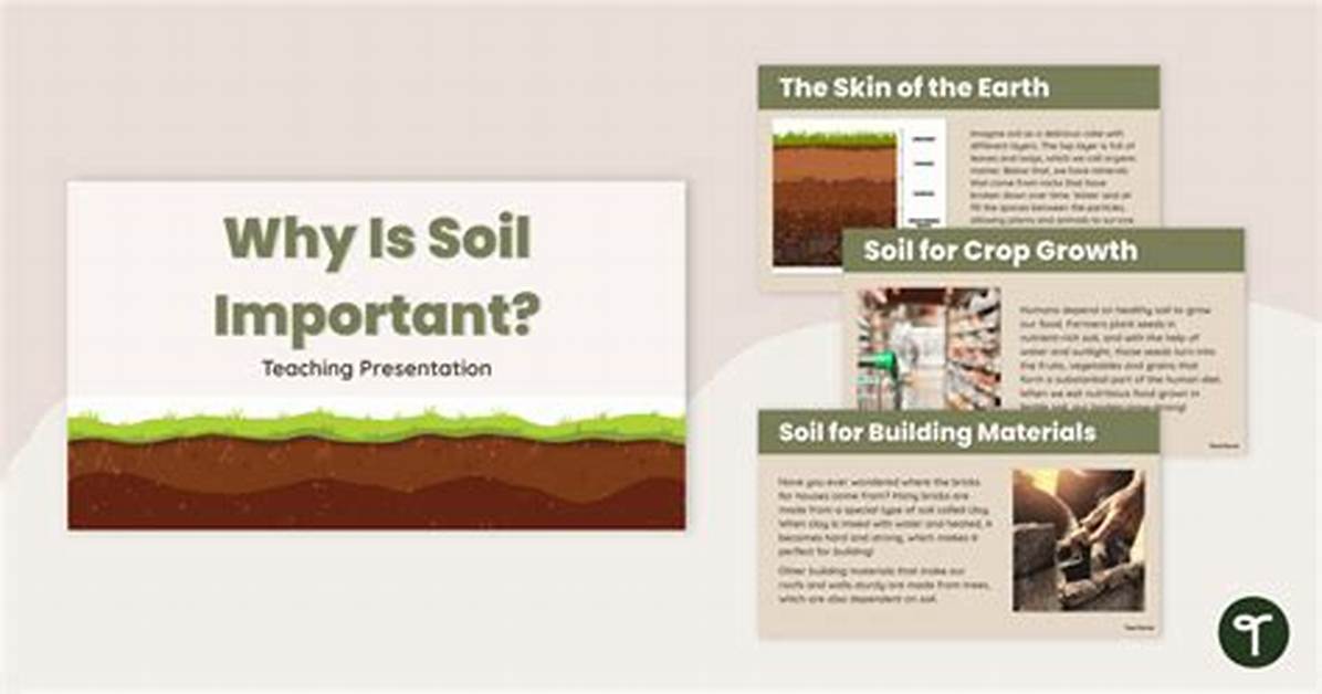 Why Soil Is Important for Us