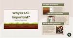 Why Soil Is Important for Us