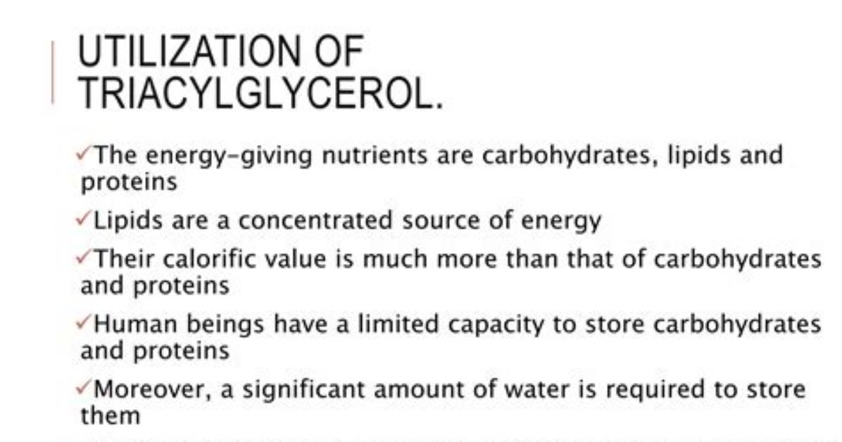 Why Triacylglycerols Are Preferred Energy