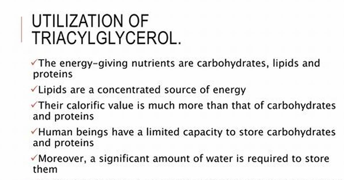 Why Triacylglycerols Are Preferred