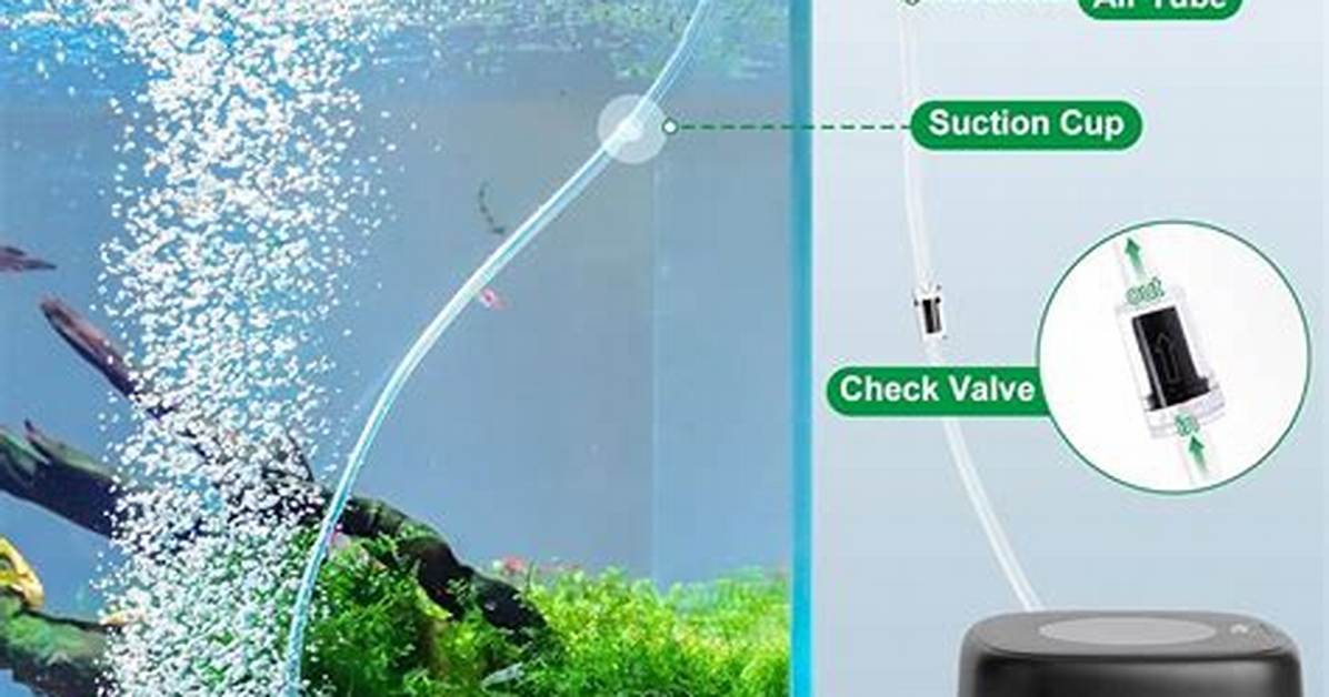 Why Use a Bubbler in a Fish Tank?