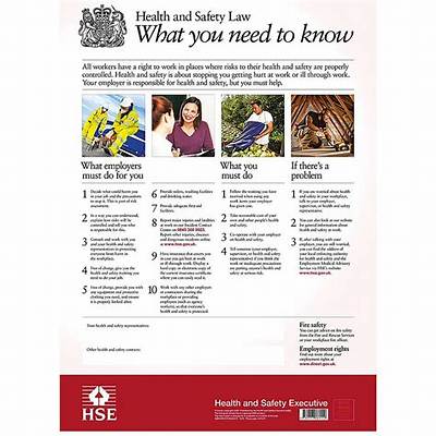 Why Was the Health and Safety Law Made?