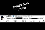 Why Watching Imskirby Dog Videos Is a Must for Dog Lovers