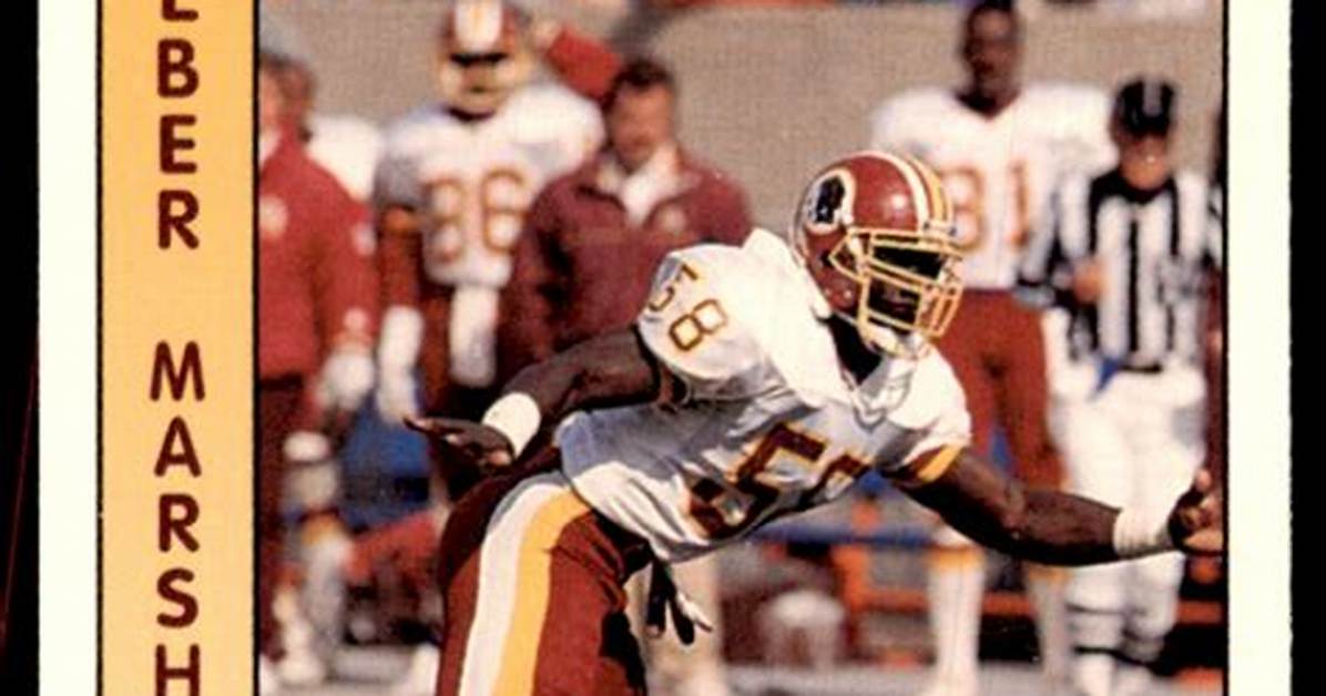 Wilber Marshall Net
