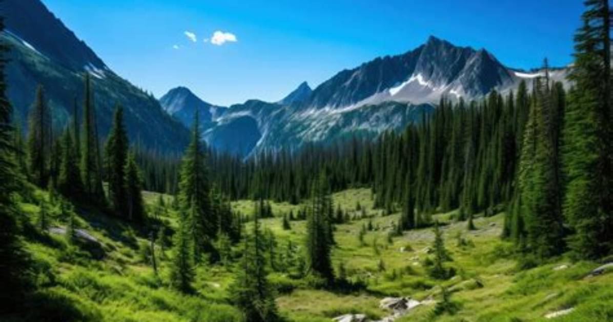 Wilderness