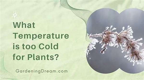 Will 36 Degrees Hurt Plants?
