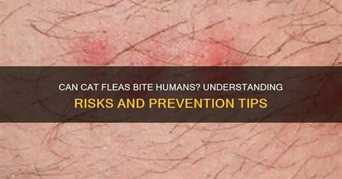 Will a Cat Flea Bite?