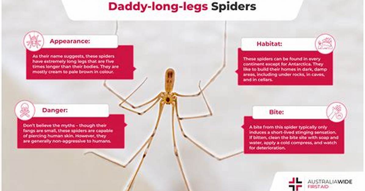 Will a Daddy Long Leg Bite You?