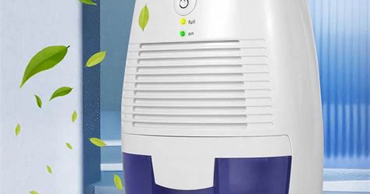 Will a Dehumidifier