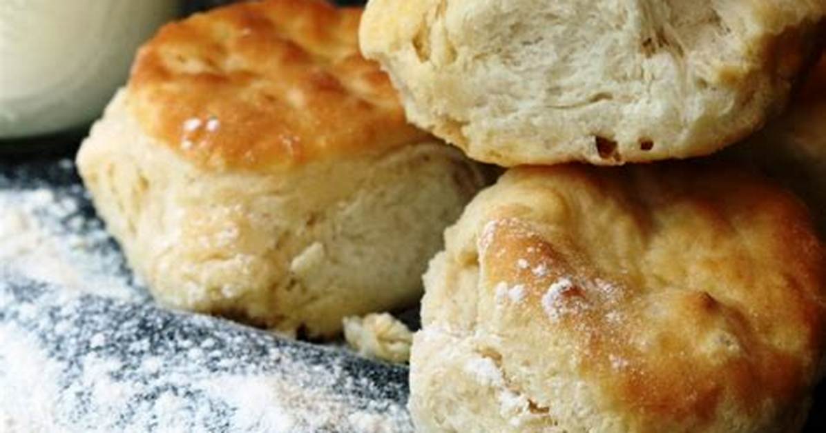 Will a Toaster Oven Bake Biscuits?
