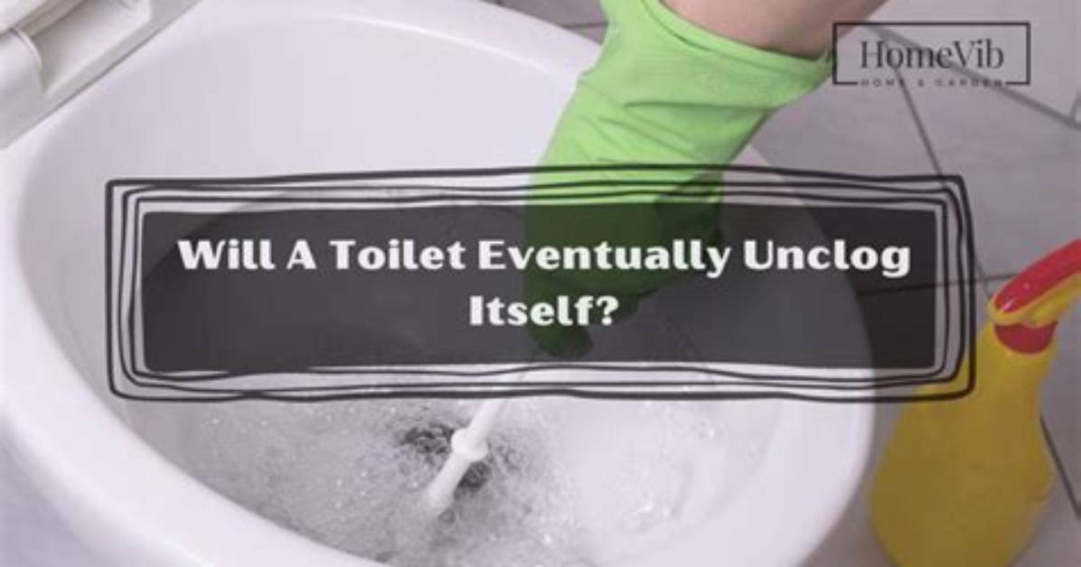 Will a Toilet Eventually Unclog Itself?