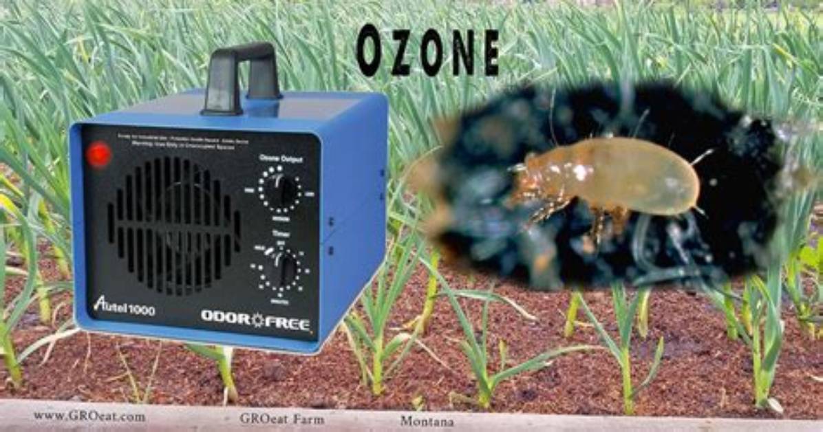 Will an Ozonator Kill Mice?