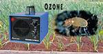 Will an Ozonator Kill Mice?