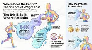 Will Belly Fat Go Away with Weight Loss?