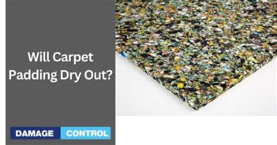 Will Carpet Padding Dry out?
