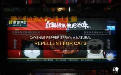 Will Cayenne Pepper Repel Cats?