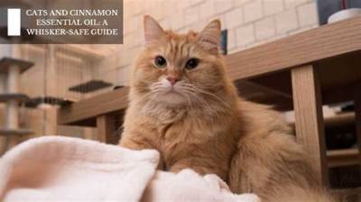 Will Cinnamon Hurt Cats?