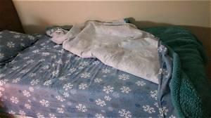 Will Flannel Sheets Shrink?