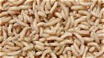 Will Maggots Drown in Water?