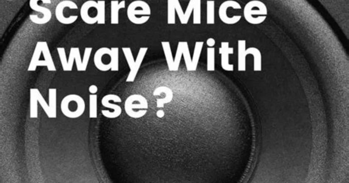 Will Making Noise Scare Mice Away?