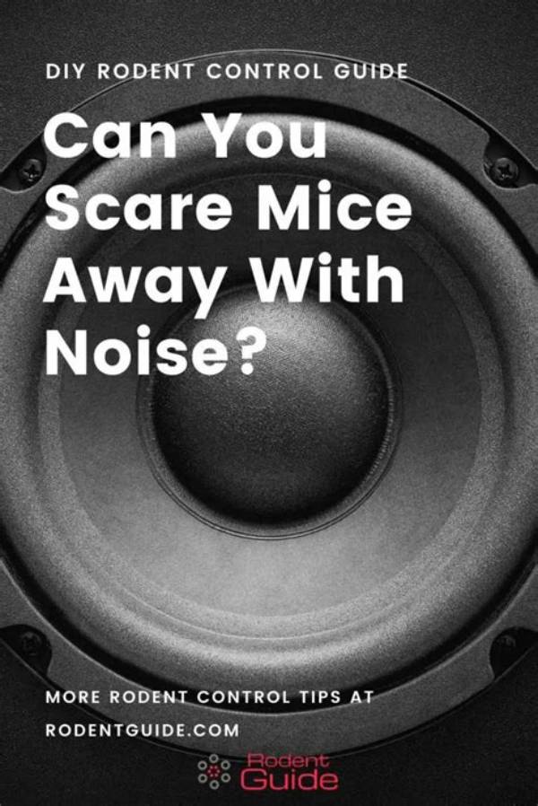 Will Making Noise Scare Mice Away?