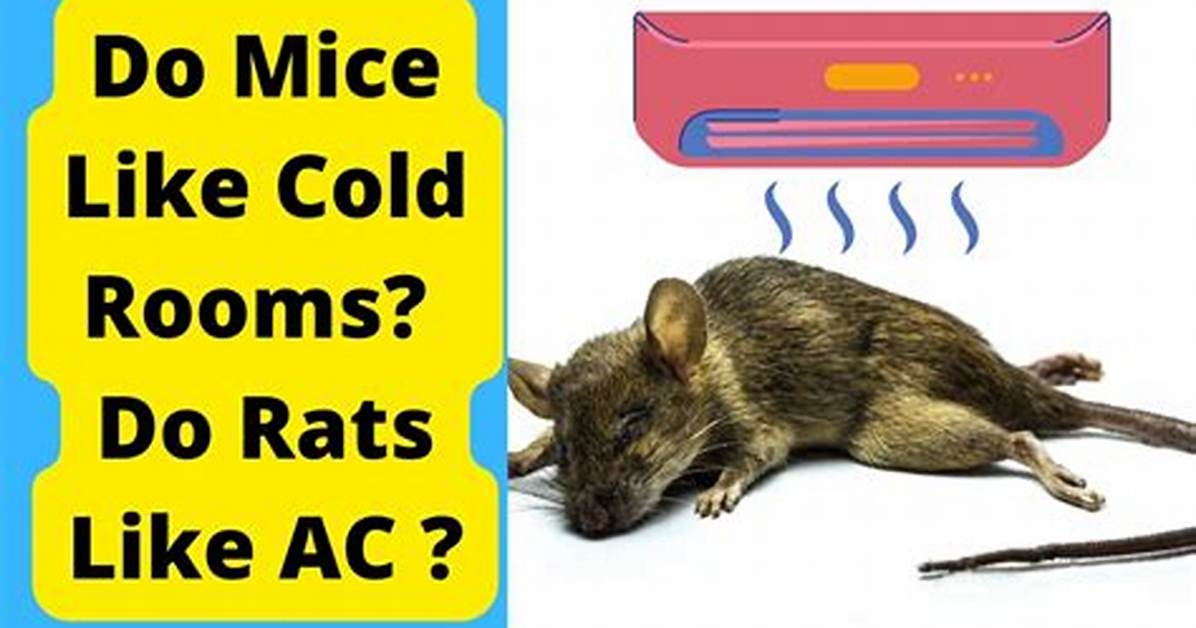 Will Mice Leave If Cold?