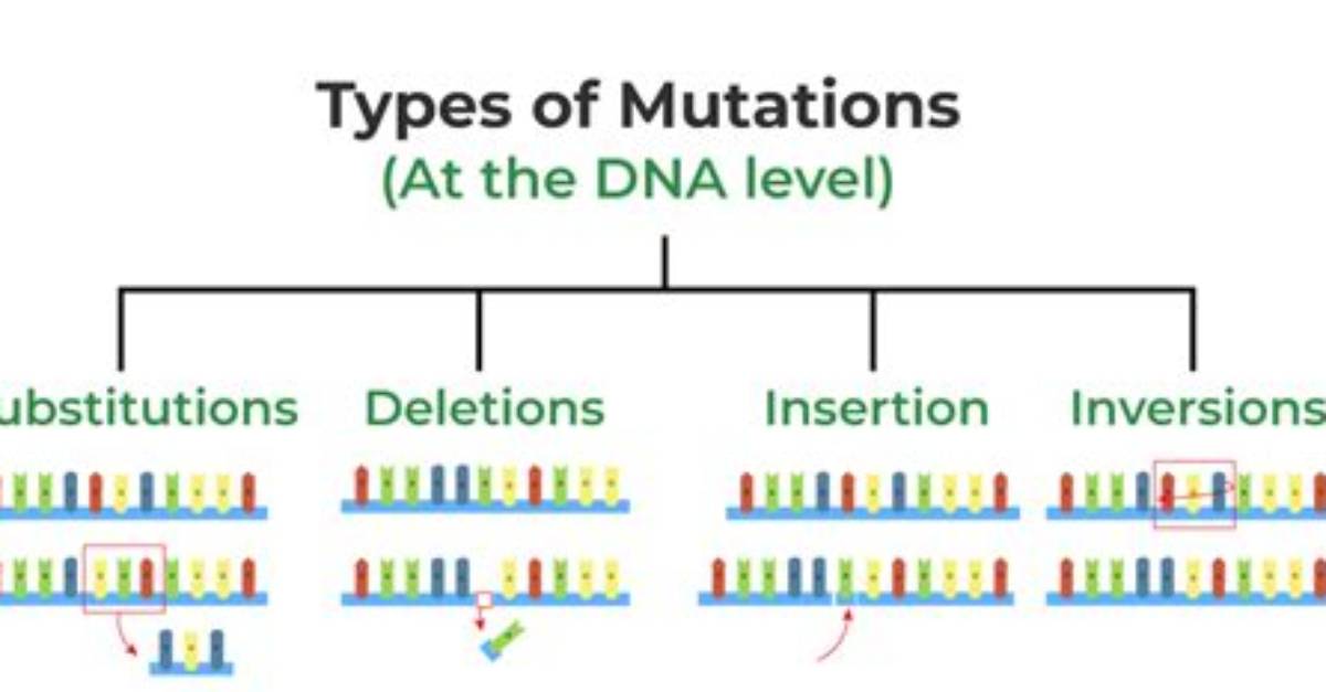 Will Mutations Always Be Inherited?