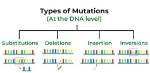 Will Mutations Always Be Inherited?