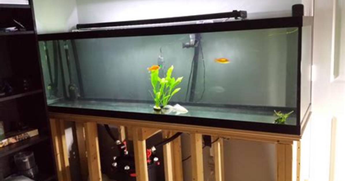 Will My Floor Support 125 Gallon Aquarium?