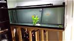 Will My Floor Support 125 Gallon Aquarium?