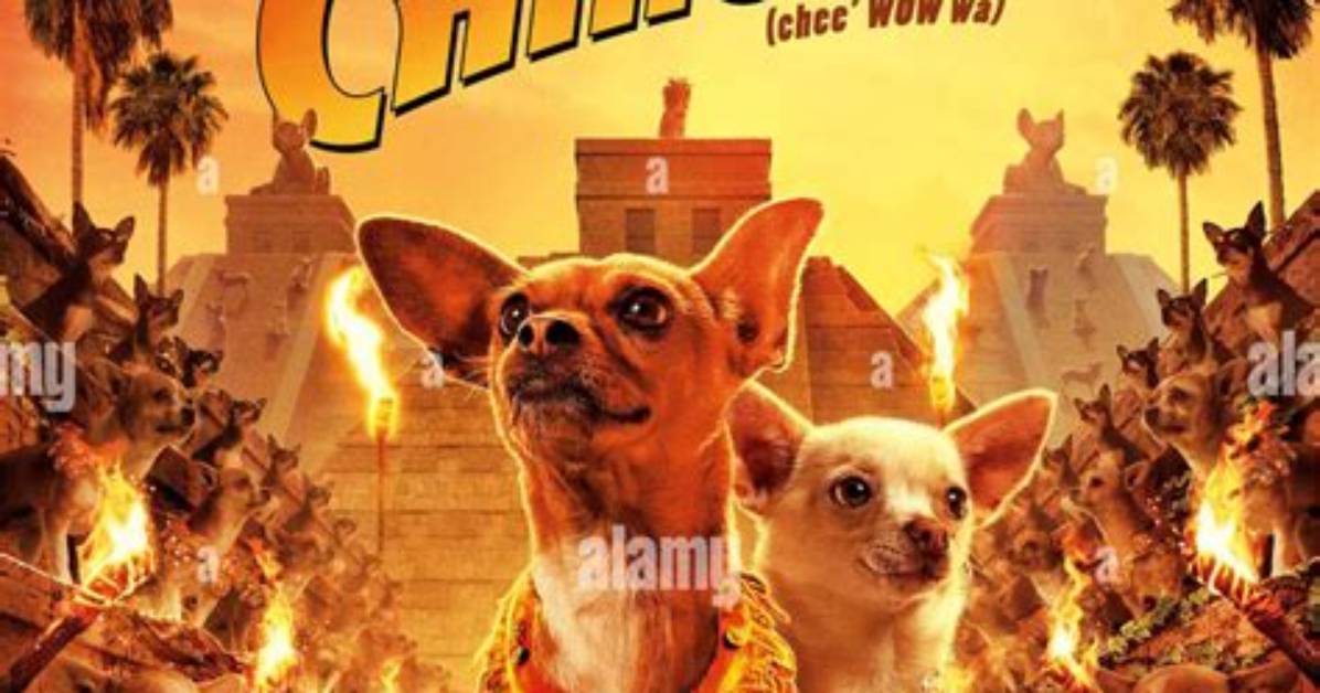 Will There Be a Beverly Hills Chihuahua 4? Discover the Latest Updates and Insights