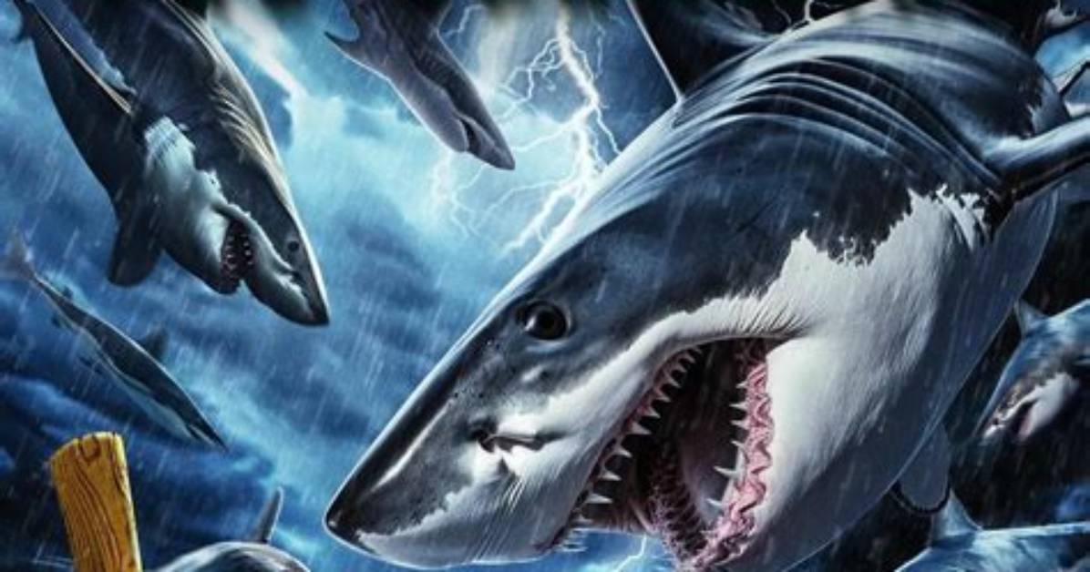 Will There Be a Predators 2?