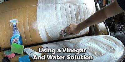 Will Vinegar Hurt Leather Seats?