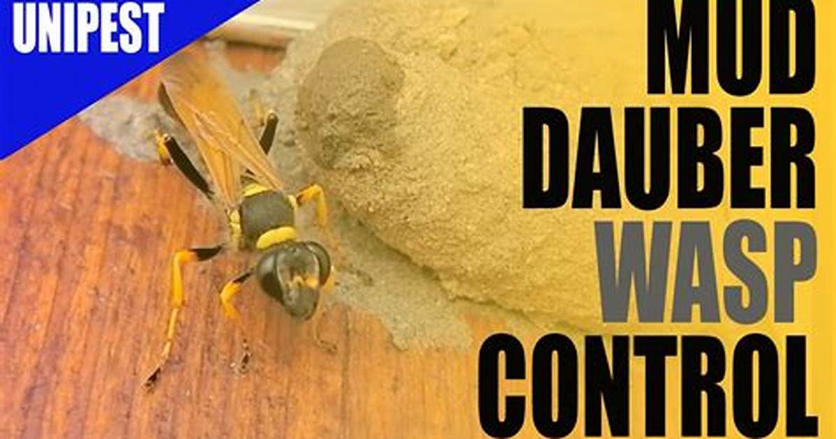 Will Wasp Spray Kill Dirt Daubers?
