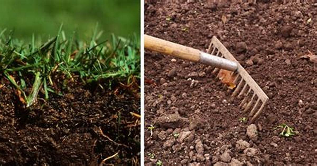 Will Water Loosen Compacted Soil?
