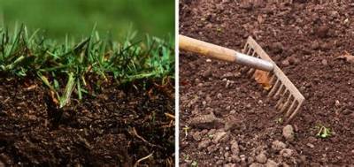 Will Water Loosen Compacted Soil?