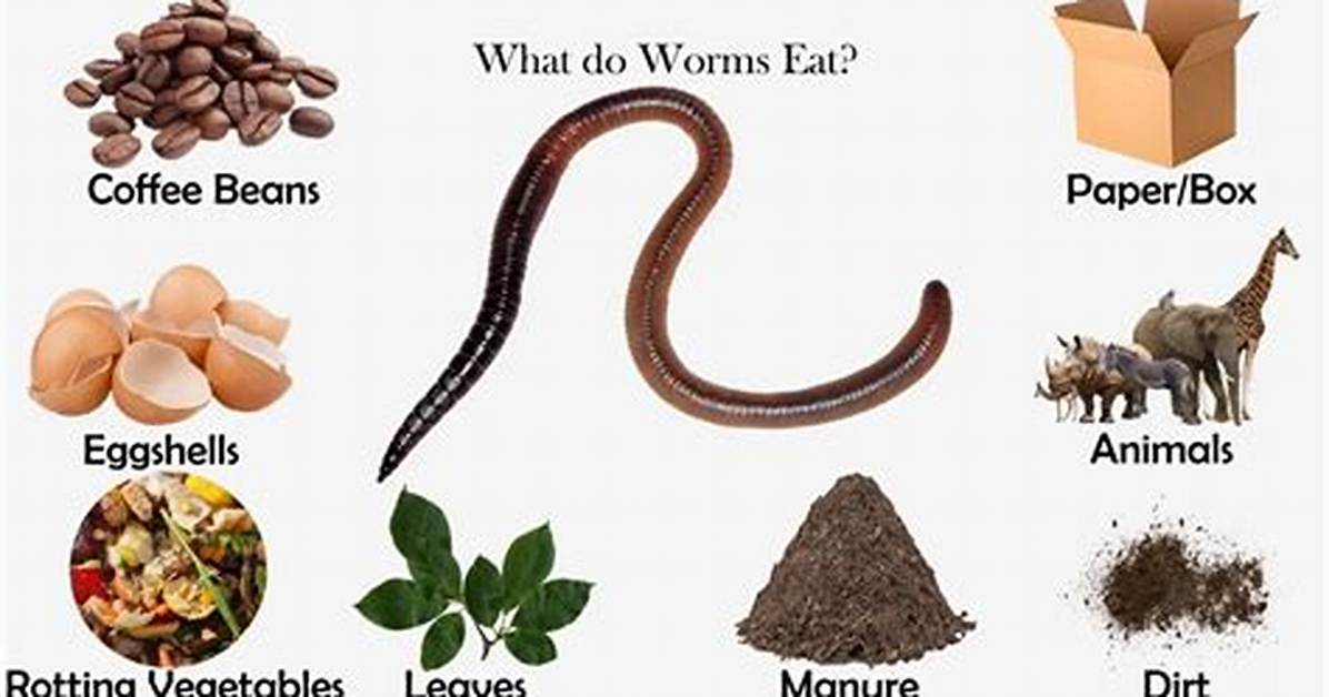 Will Worms Eat Banana Peels?