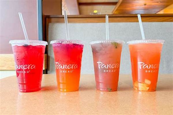 “With My Drink as an Accessory”: Panera Baguette Bread Bag Goes Viral as Fans Await Restock Details