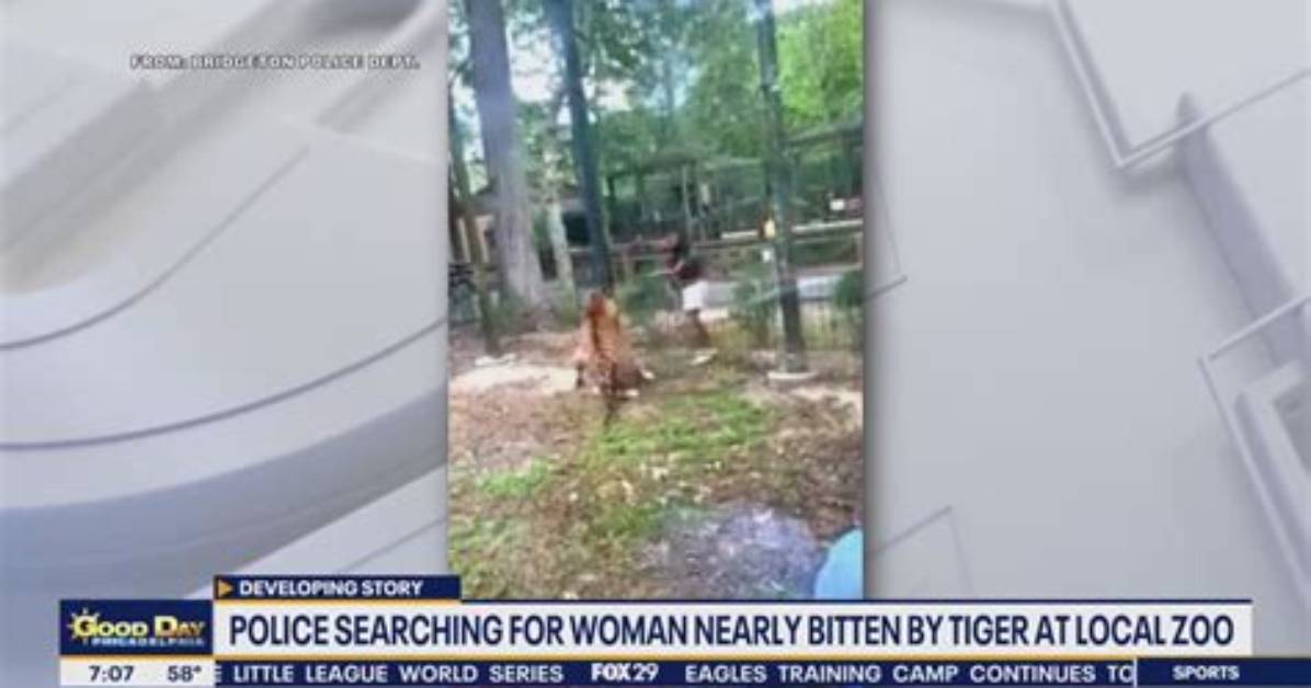 Woman Not Sorry for Jumping into Zoo S Monkey Enclosure to Feed